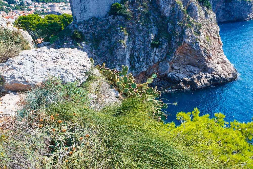 Photograph by Marek Durajczyk