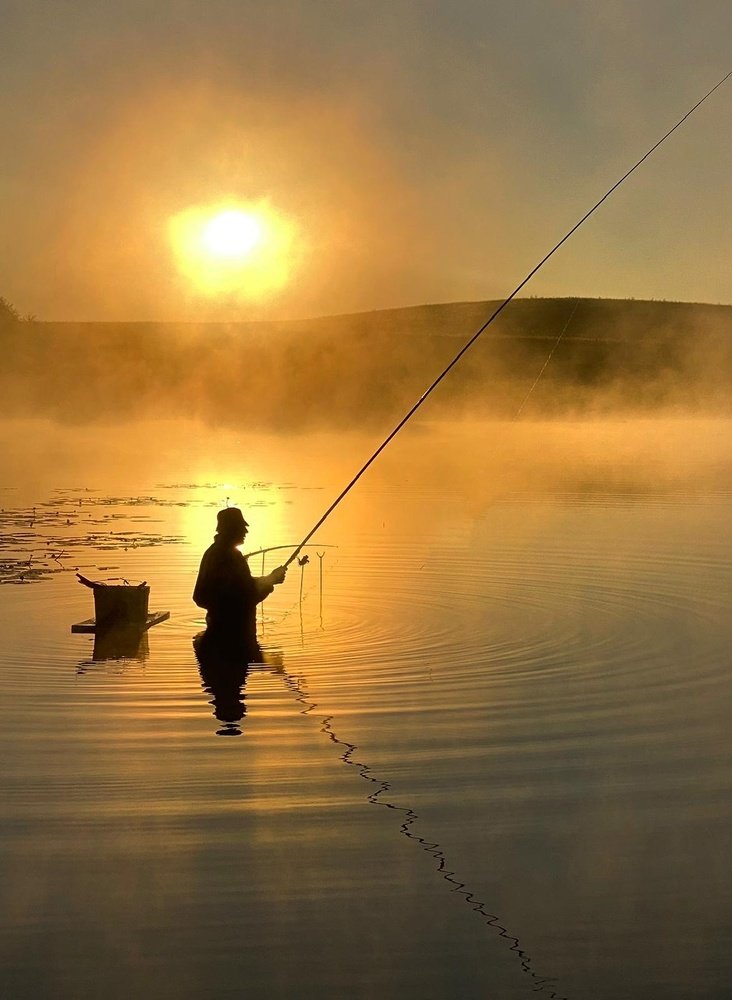 Photograph by Анатолий Андреев