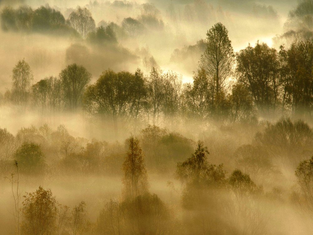 Photograph by Елена Маракулина