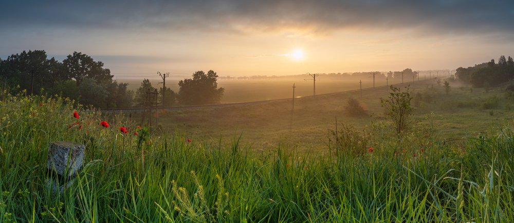 Photograph by Александр Колбасин