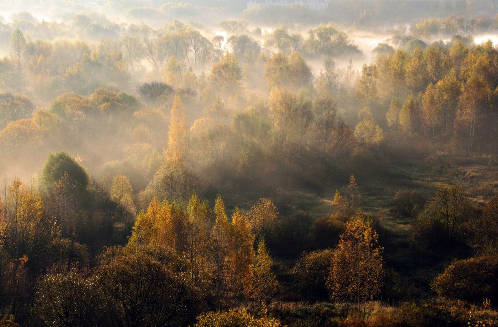 Photograph by Елена Маракулина