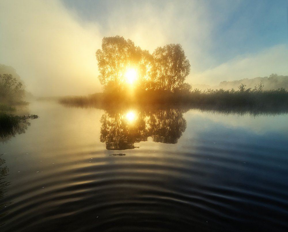 Фотография автора Тимур Подколзин