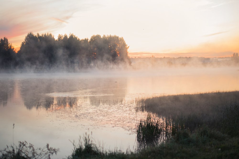 Утро в пути