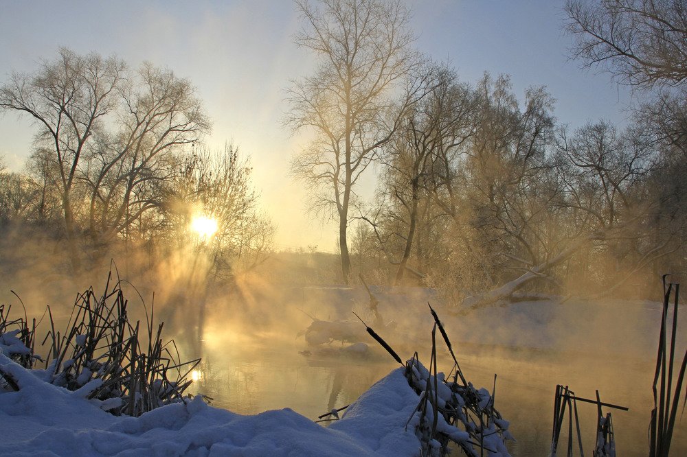 Photograph by Елена Маракулина