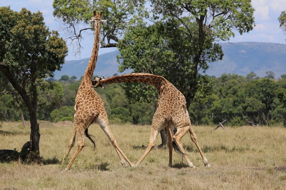 Photograph by Юлия