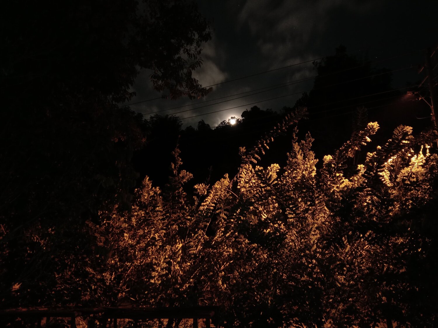 Photo #4841828