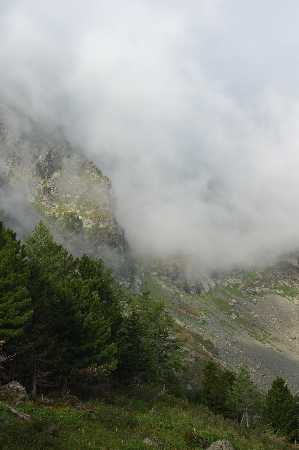 Photo #4841840