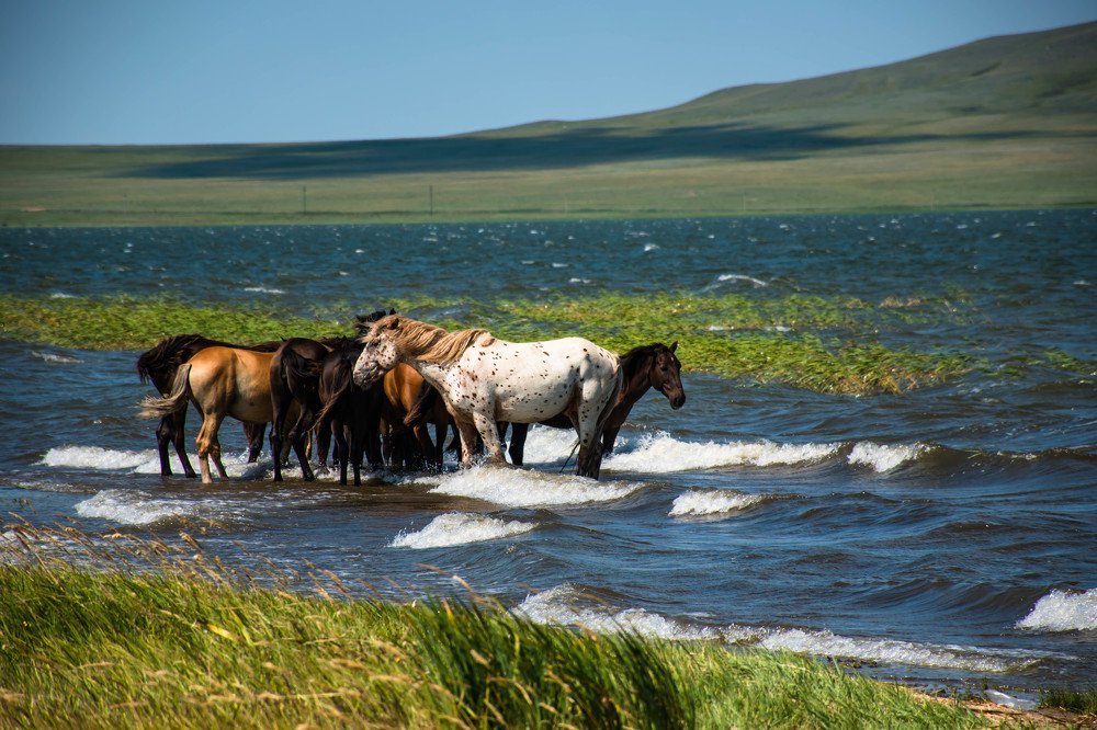 Photograph by Елена Прохорова