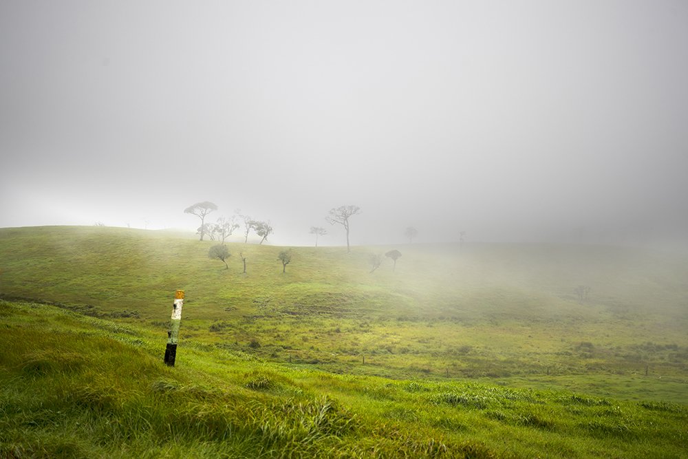 Photograph by Senadheera Danushka