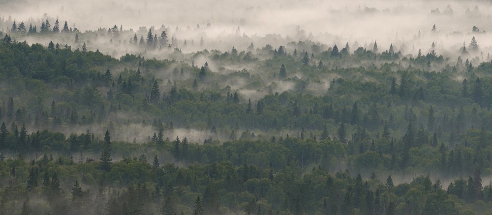 Photograph by Евгений Гецев