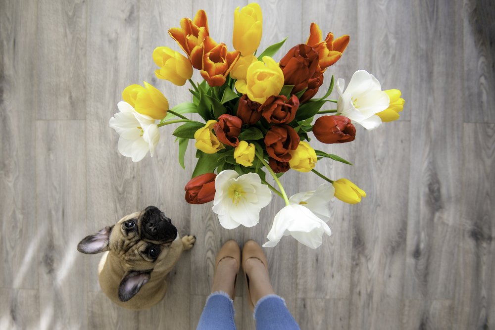 Photograph by Кадырова Марина