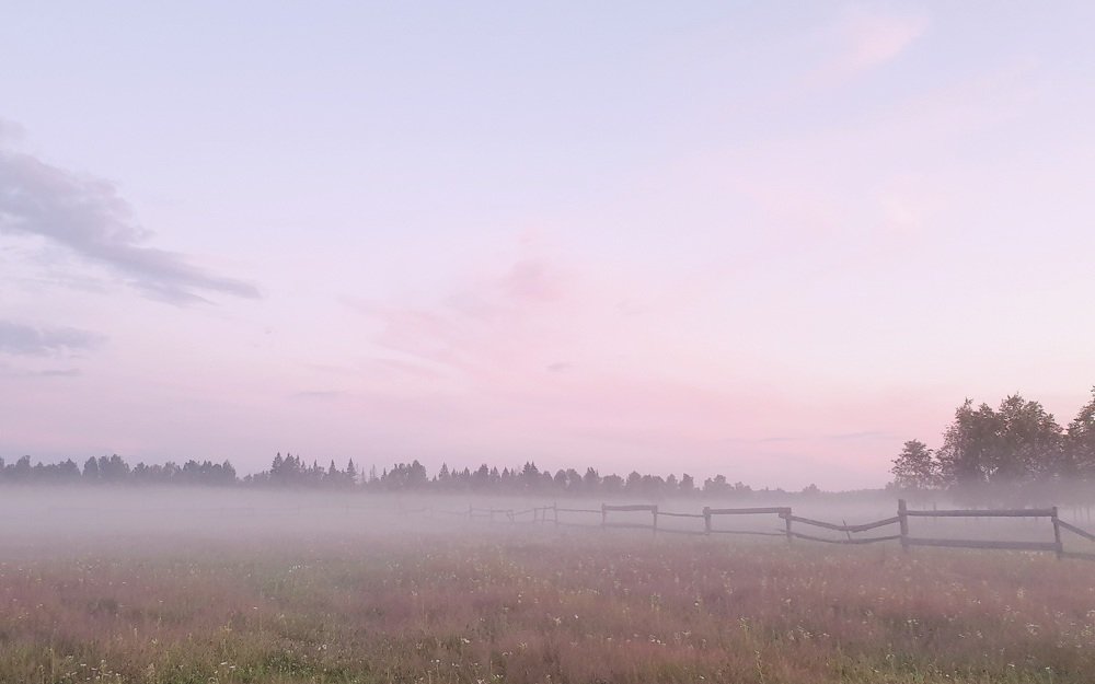 Photograph by Полина
