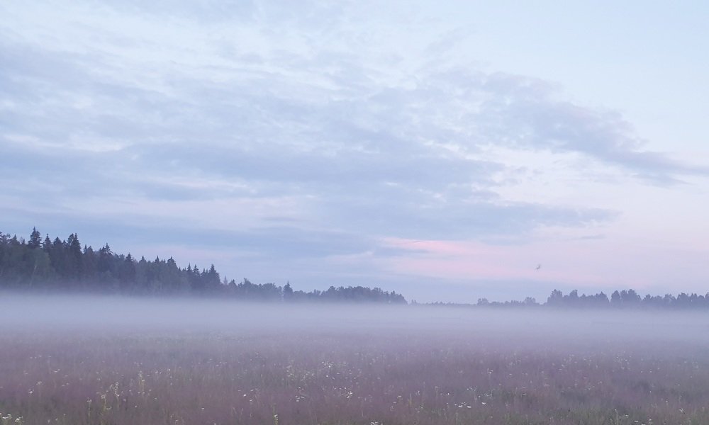 Photograph by Полина
