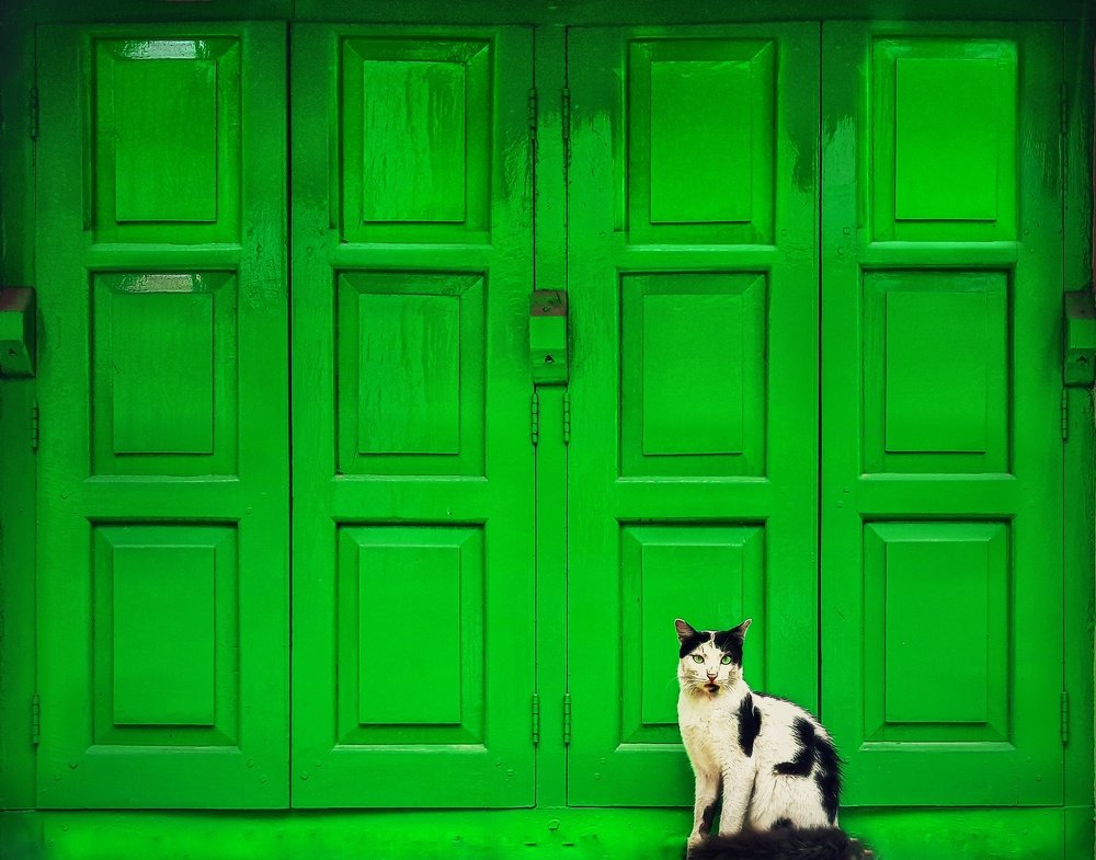 Photograph by Biprorshi Chatterjee