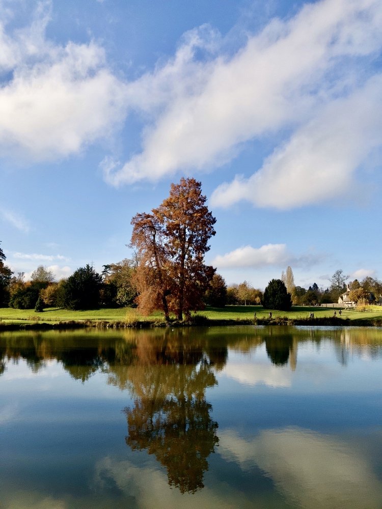 Reflection