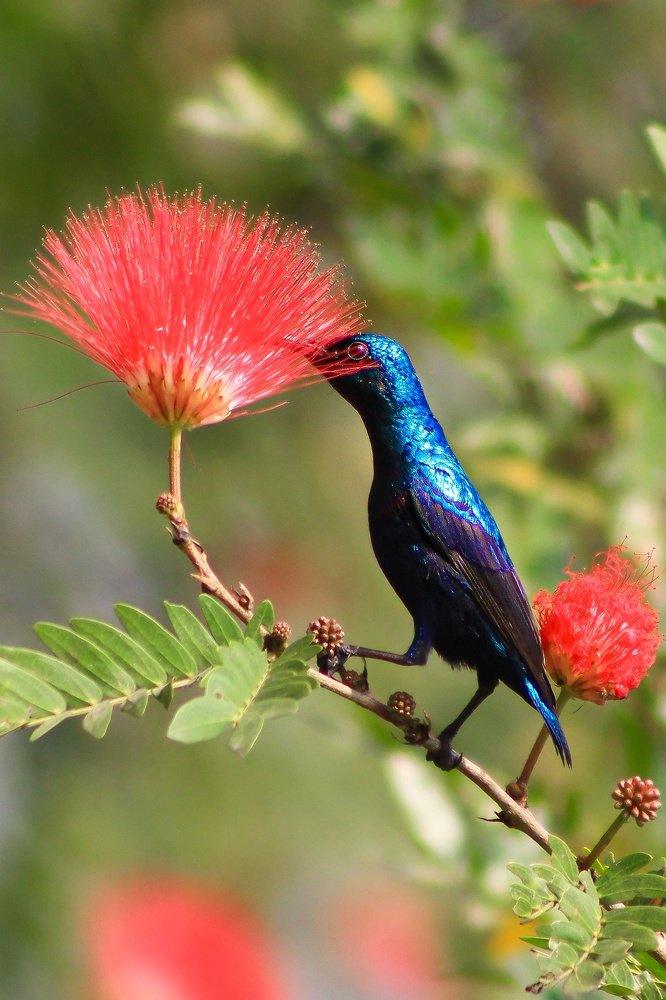 Photograph by Mirza Md moon ridoy