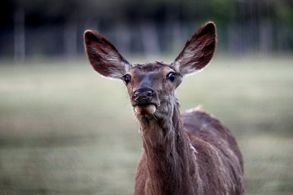 Photograph by Anna Suchcicka