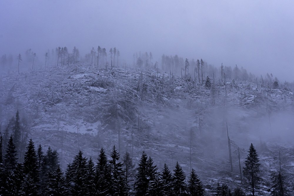 Photograph by Igor Serdyukov