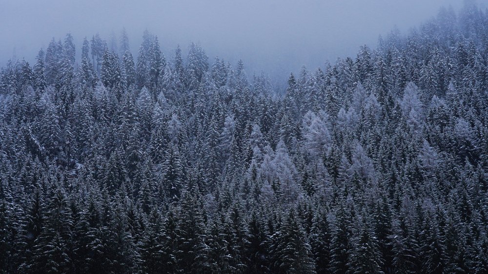 Photograph by Igor Serdyukov