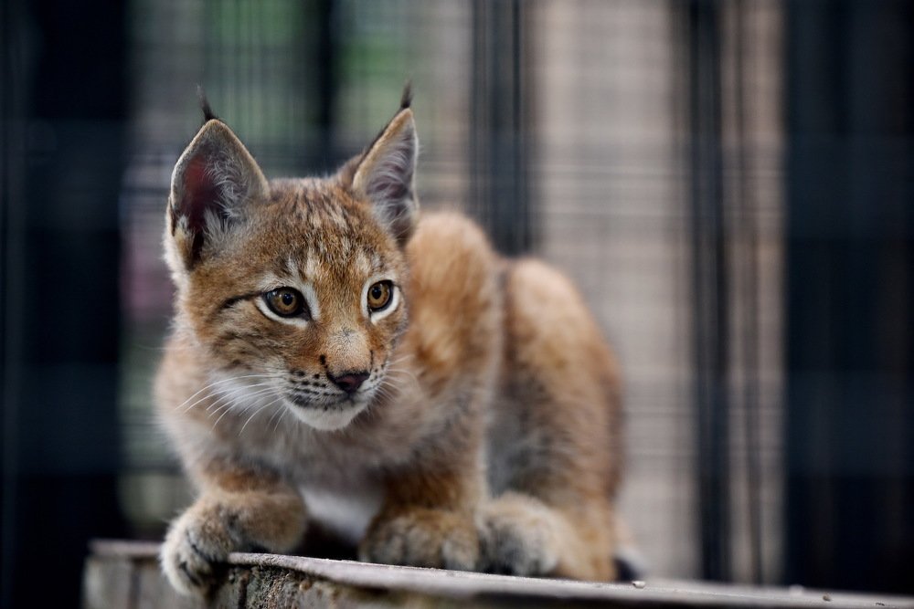 Photograph by Евгения Полянова