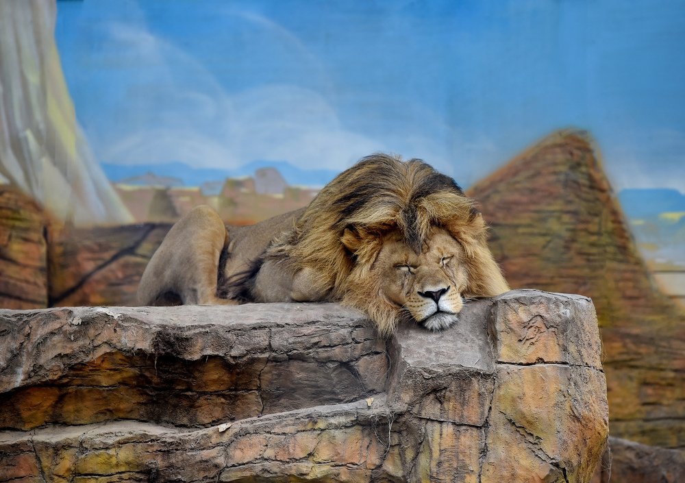 Photograph by Евгения Полянова