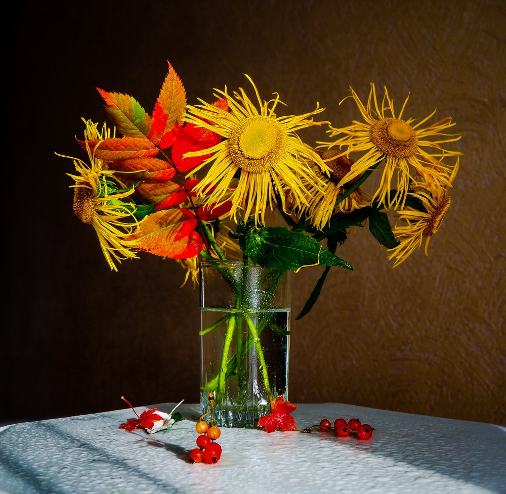 Фотография автора Olena Vorotyntseva