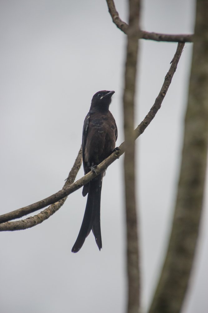 Photograph by Harisankar B