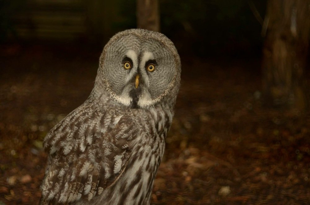 Photograph by Yulia Tanakova