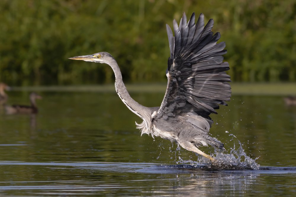Photograph by Дмитрий Поршнев
