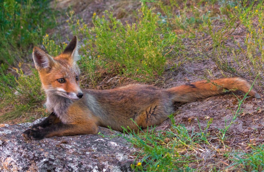 Photograph by Сергей Стратов