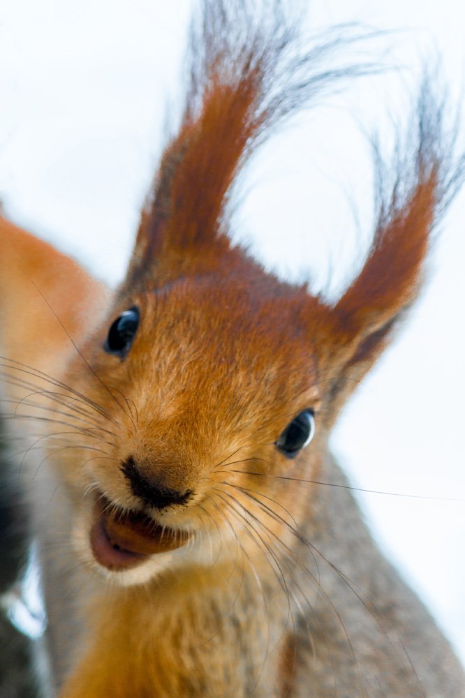 Photograph by Сергей Стратов