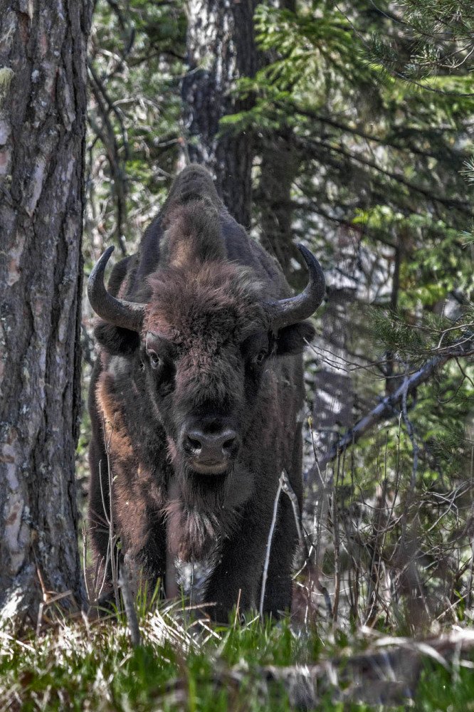 Photograph by Сергей Стратов