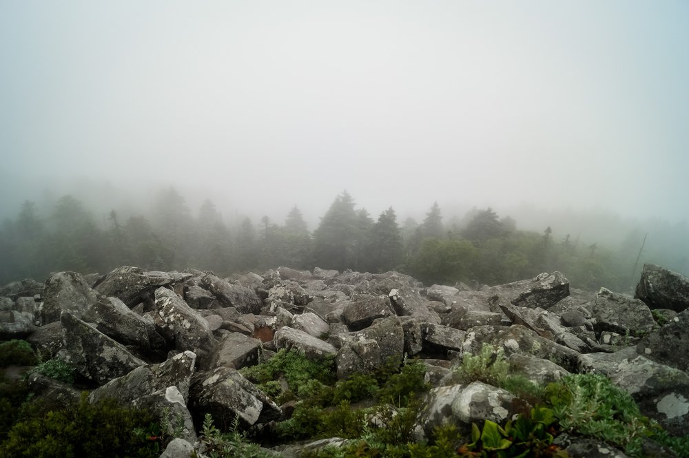 Photograph by Виктор Сёмушкин