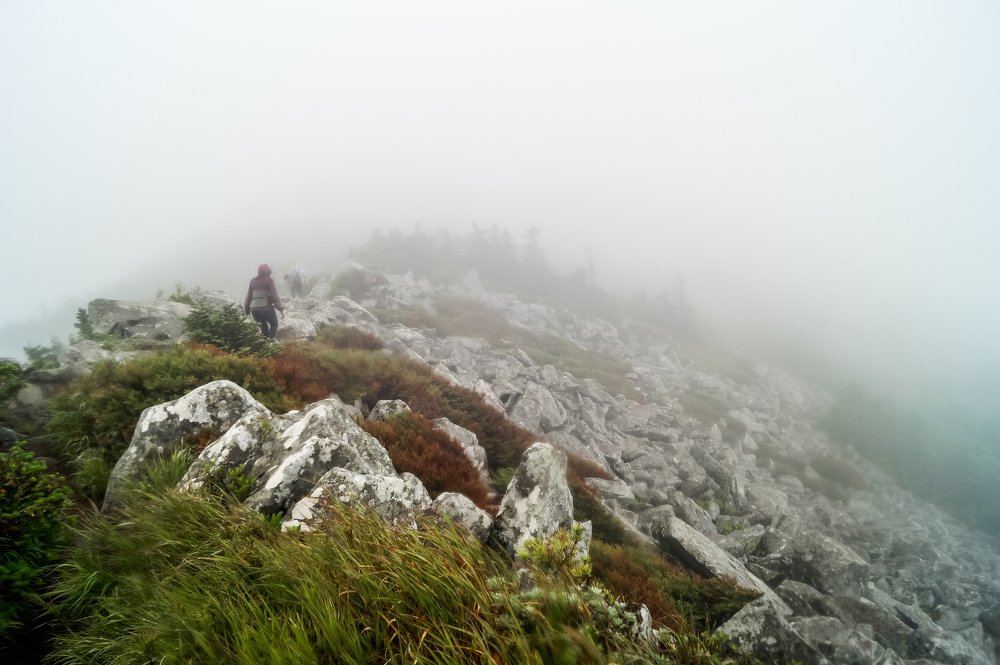 Photograph by Виктор Сёмушкин