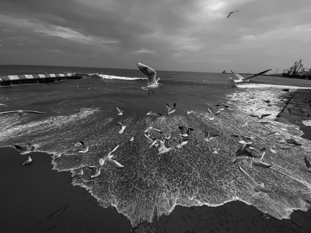 Photograph by Ольга Петухова