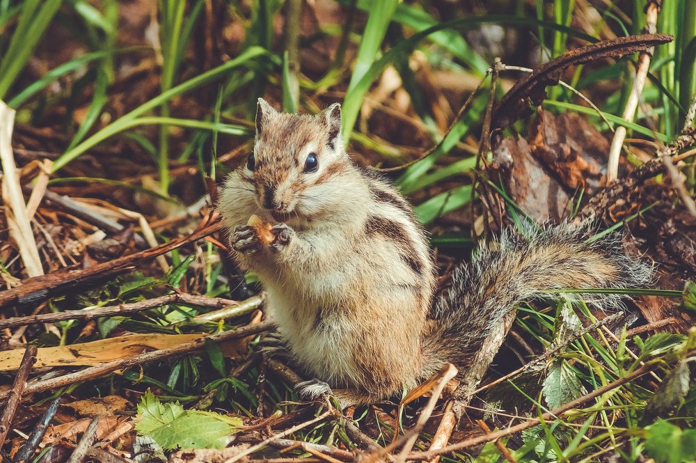 Photograph by Виктор Сёмушкин