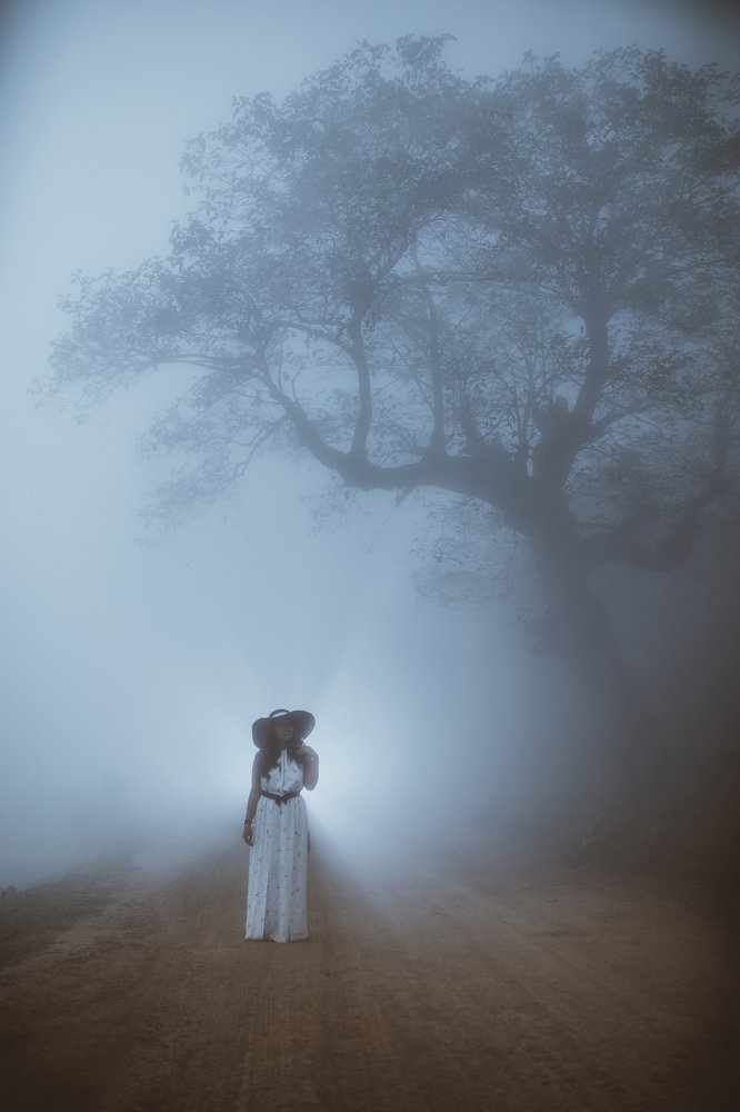 Photograph by shahin khalaji