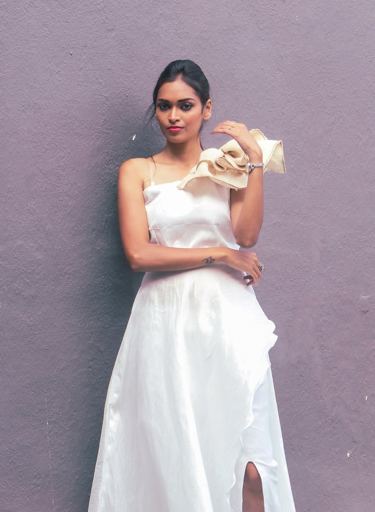 Фотография автора Manas Panja