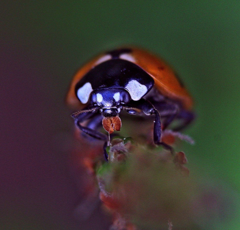 Когда ты голоден.