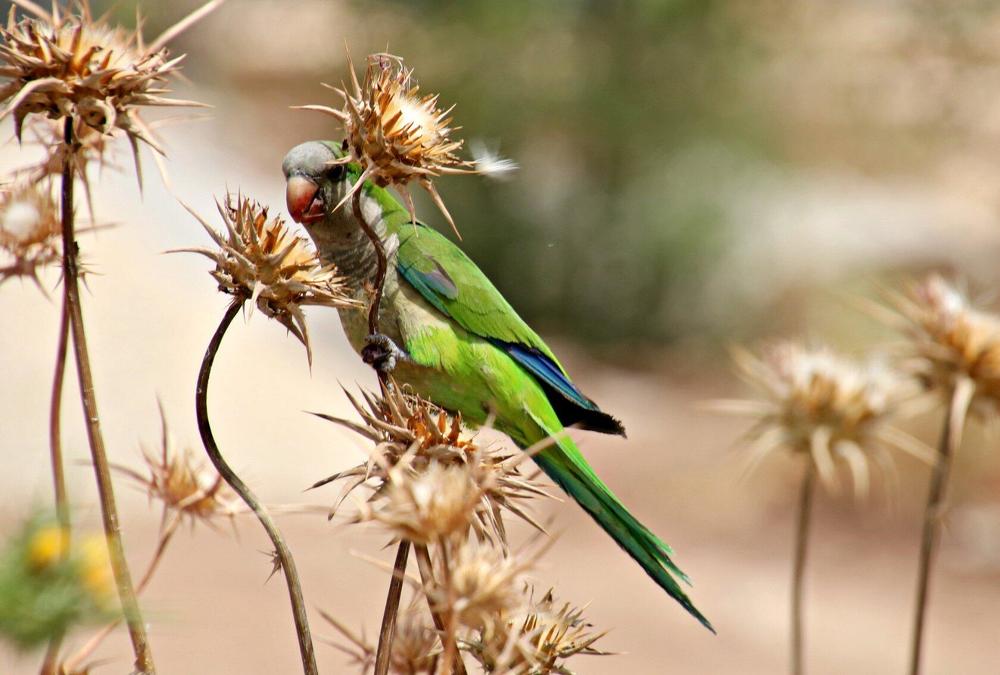 Photograph by Irina Radzinskaya