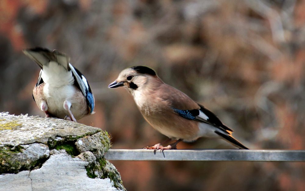 Photograph by Irina Radzinskaya