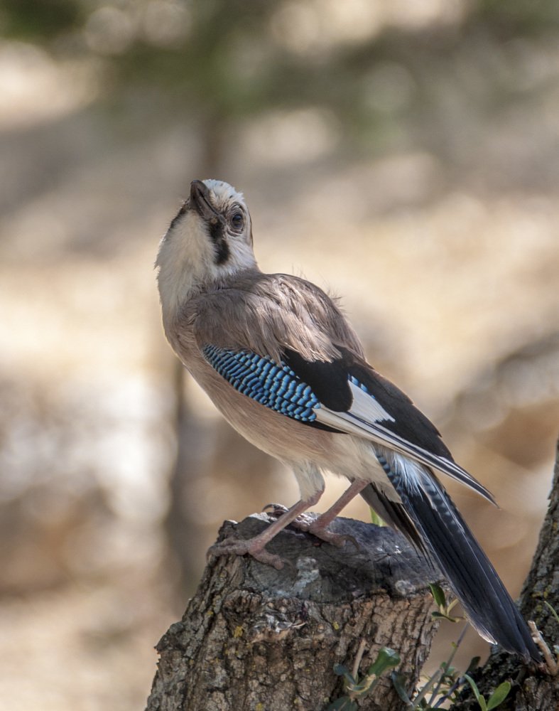 Photograph by Sabina Braginski