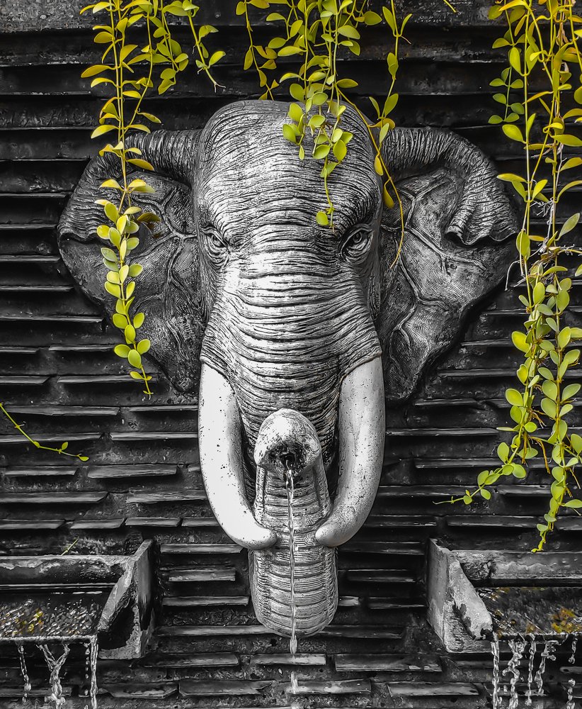 Photograph by TYM XS