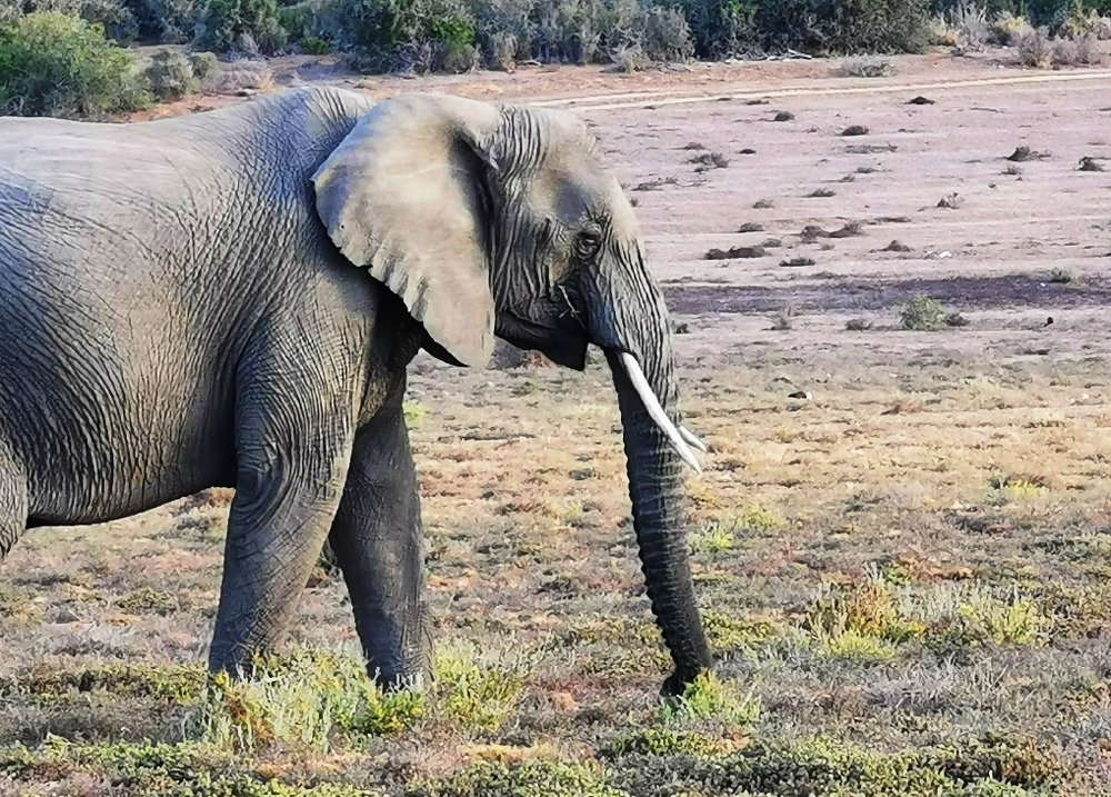 Photograph by Alexander Matschin