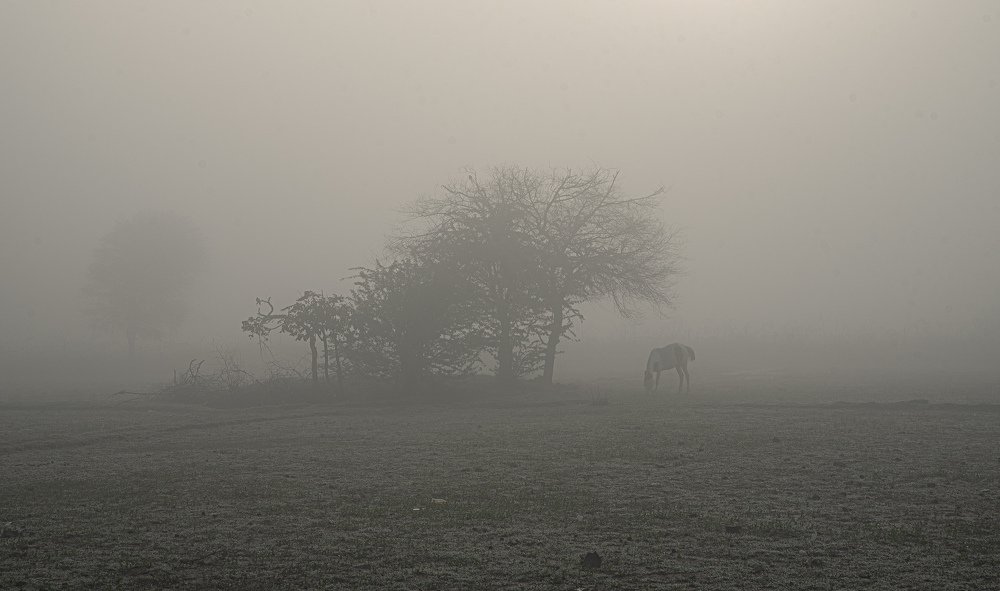 Photograph by Aleksei Kurlov