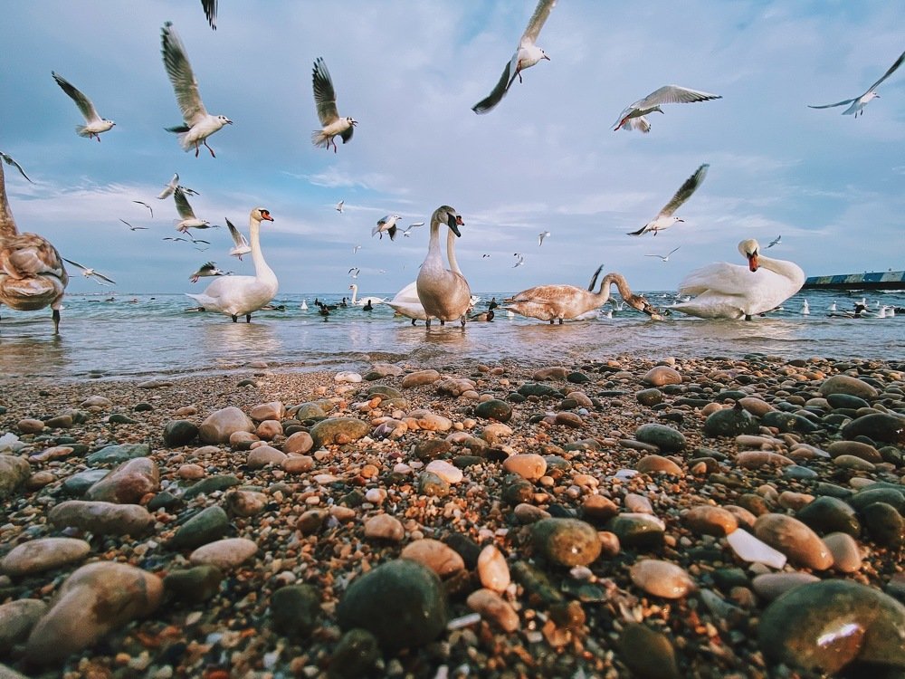 Photograph by Ольга Петухова