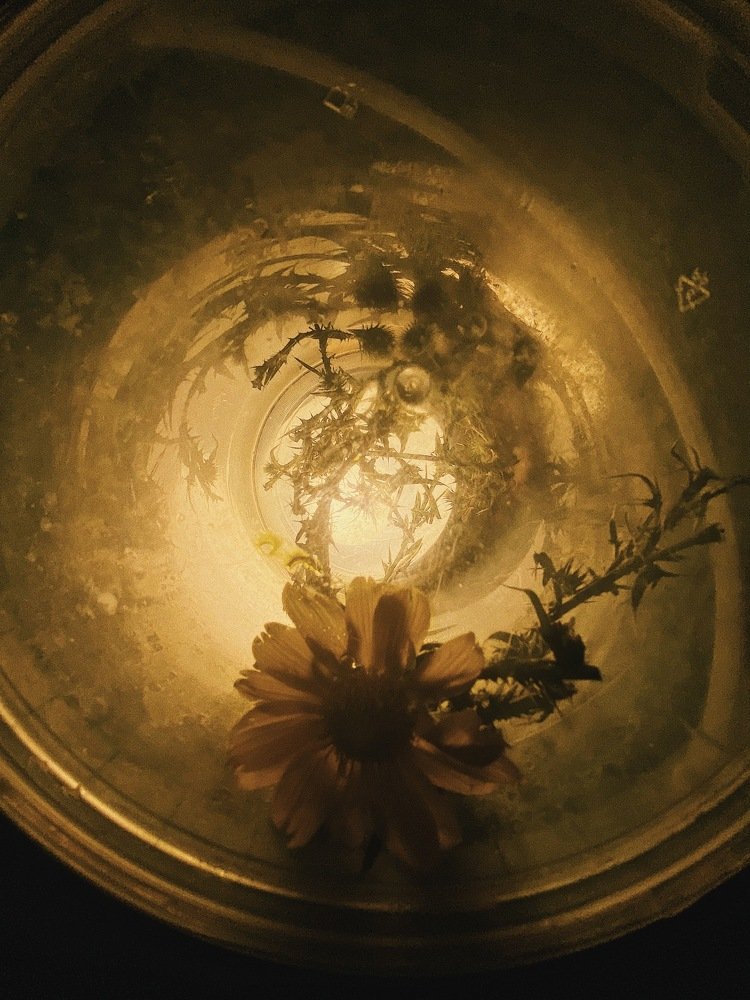 Photograph by Ольга Петухова