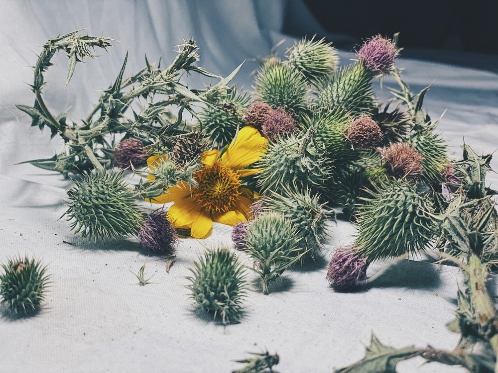 Photograph by Ольга Петухова