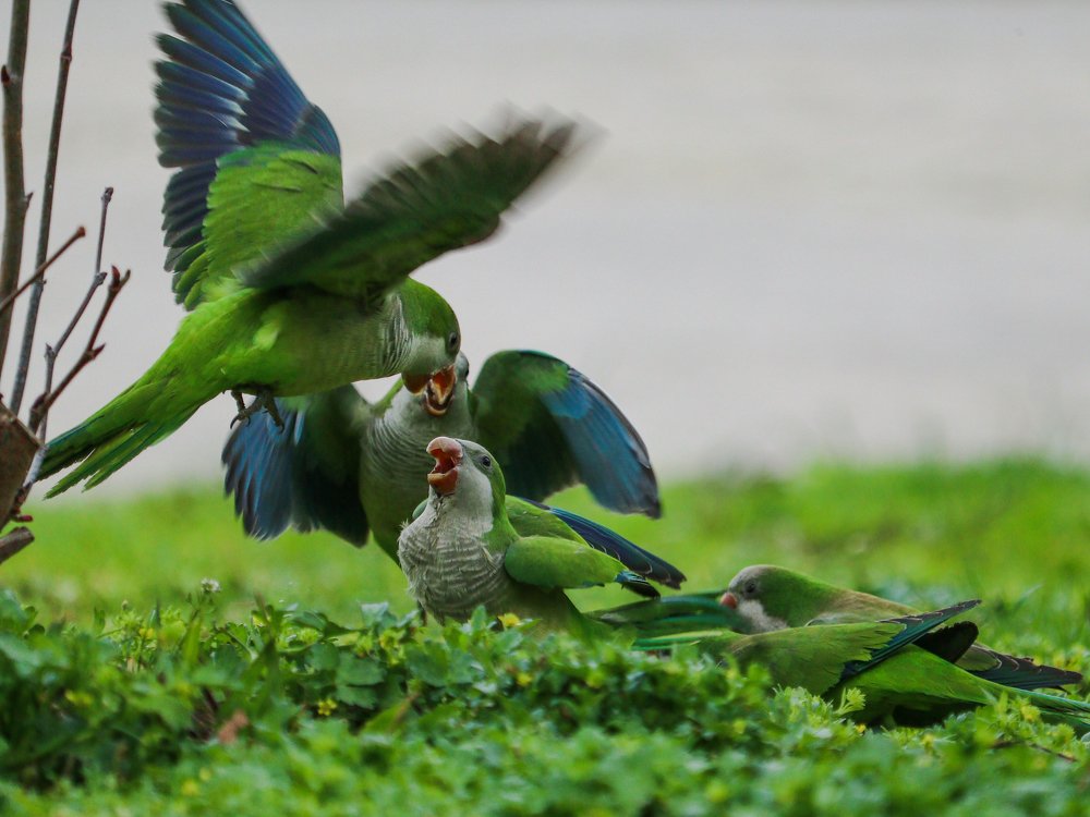 Photograph by Георгий Акопджанов