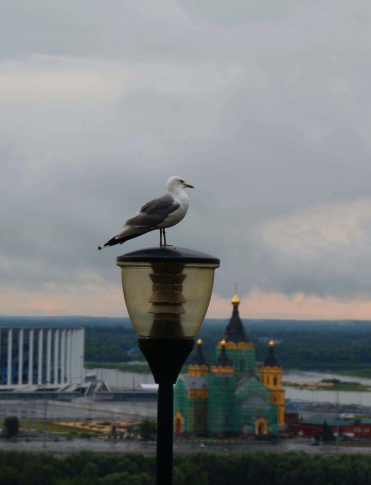 Photograph by Наталья Сазонова